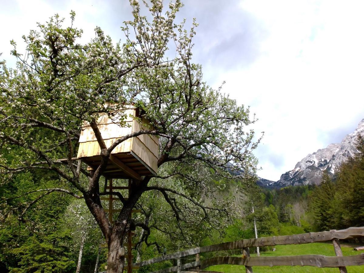 Camping & Glamping Grintovec Preddvor Exterior foto