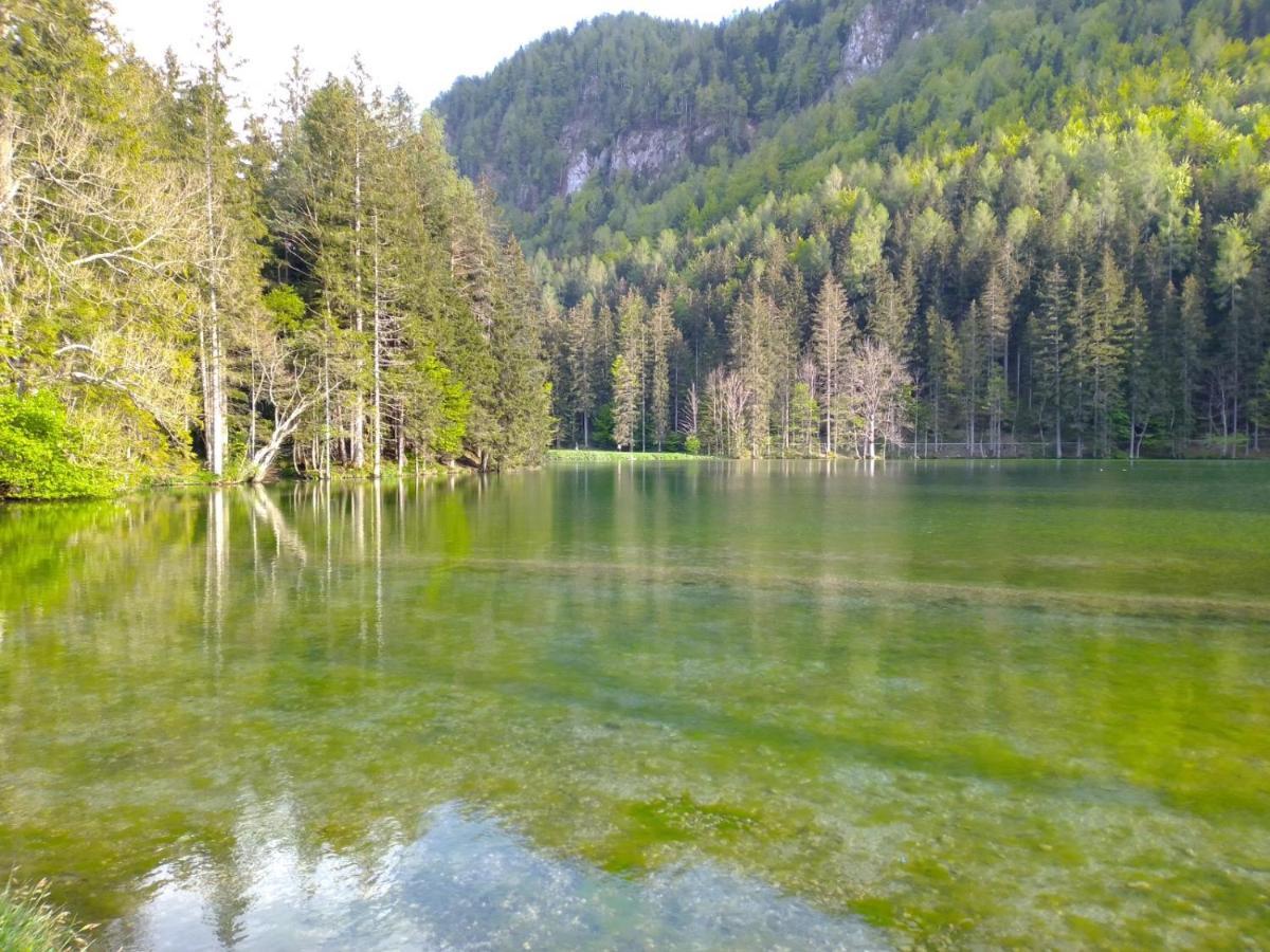 Camping & Glamping Grintovec Preddvor Exterior foto