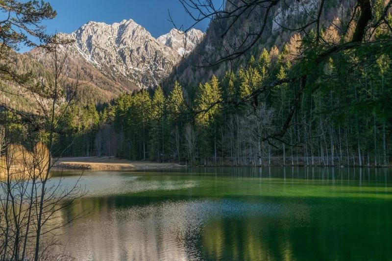 Camping & Glamping Grintovec Preddvor Exterior foto