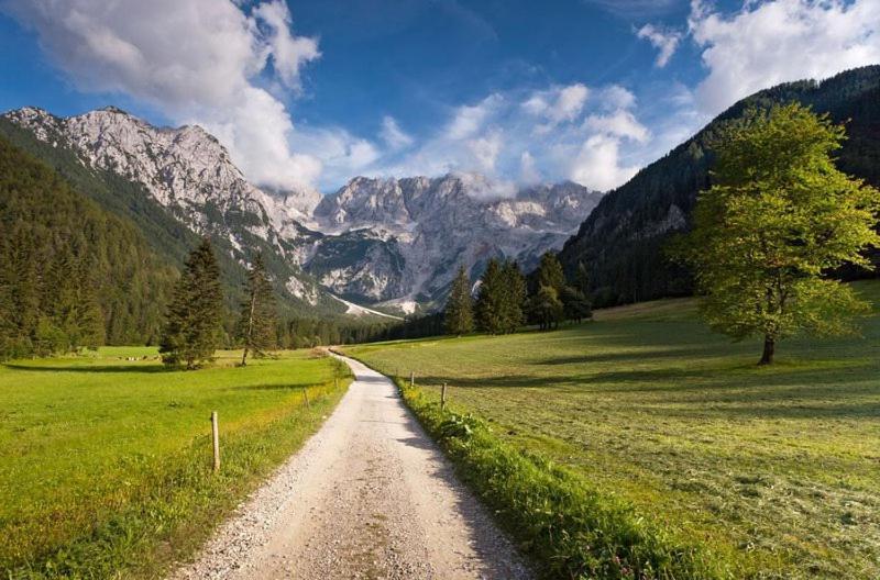 Camping & Glamping Grintovec Preddvor Exterior foto