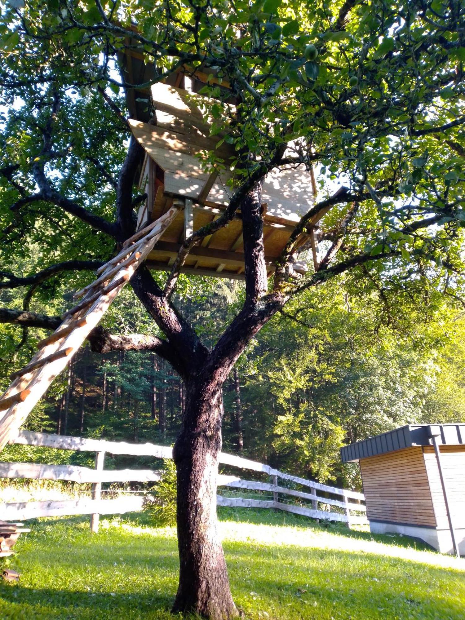 Camping & Glamping Grintovec Preddvor Exterior foto