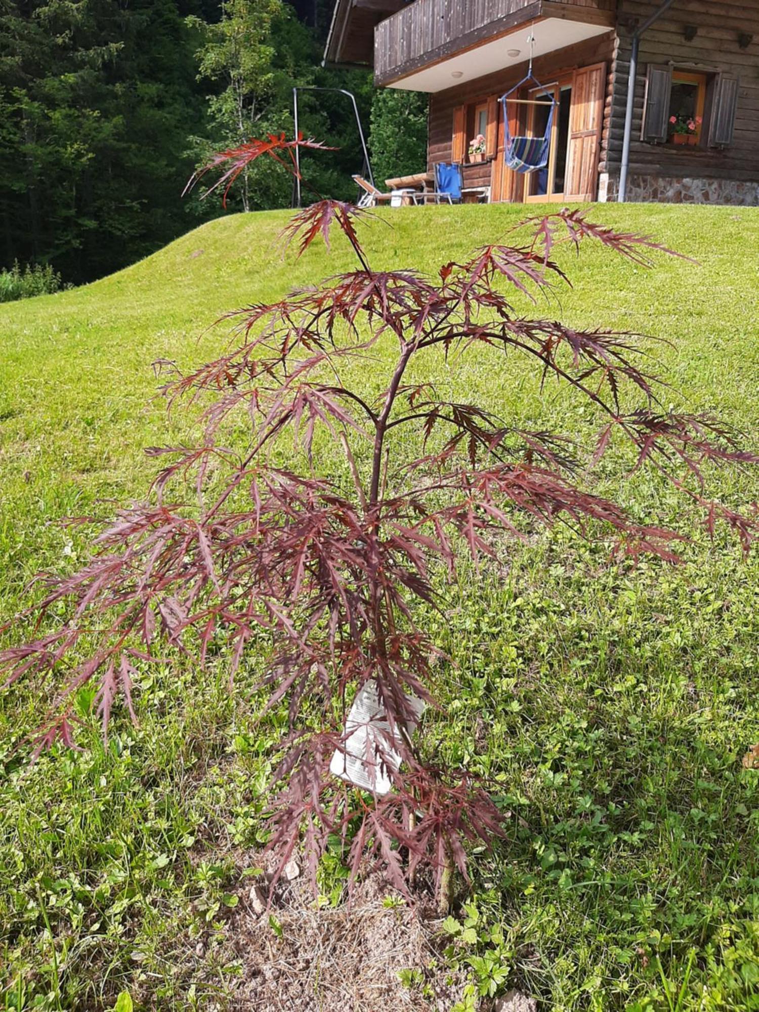 Camping & Glamping Grintovec Preddvor Exterior foto